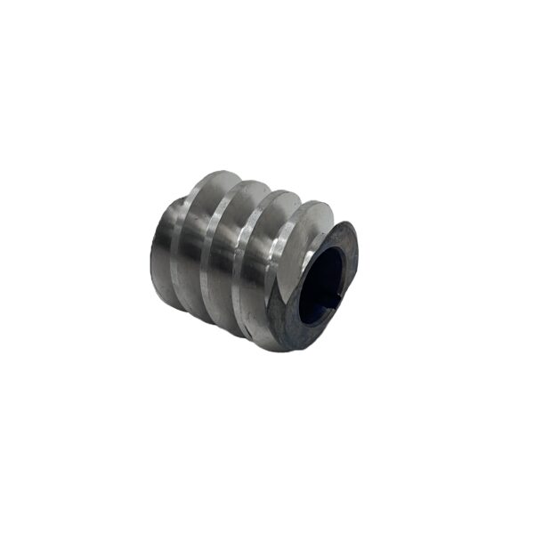 Worm Gear